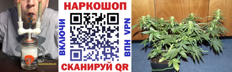 Наркошоп купить Псилоцибиновые грибы  Бошки Шишки  КОКАИН  Меф мяу мяу  ГАШ  Нефтекумск