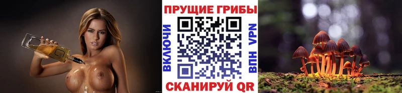 Псилоцибиновые грибы ЛСД  Купить  Нефтекумск 
